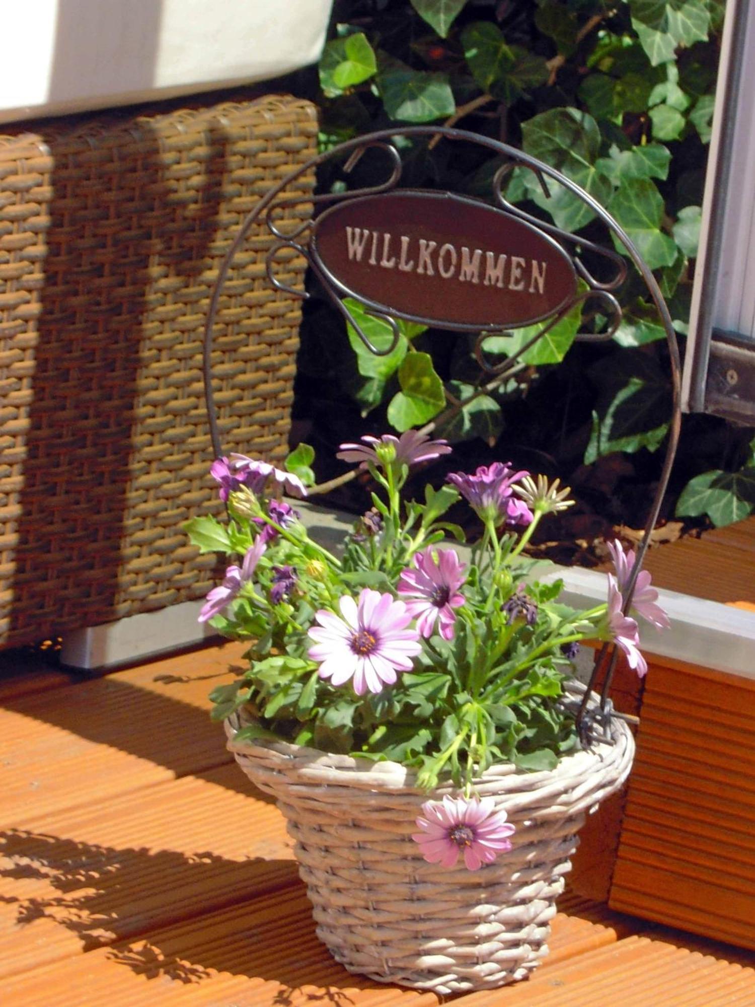 Gut Hotel Stadt Беелиц Екстериор снимка