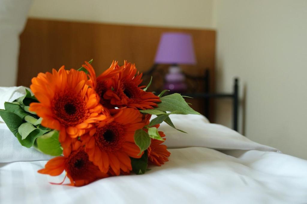 Gut Hotel Stadt Беелиц Стая снимка