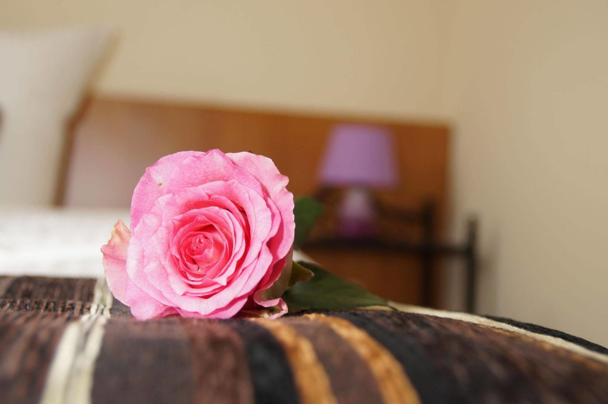 Gut Hotel Stadt Беелиц Екстериор снимка